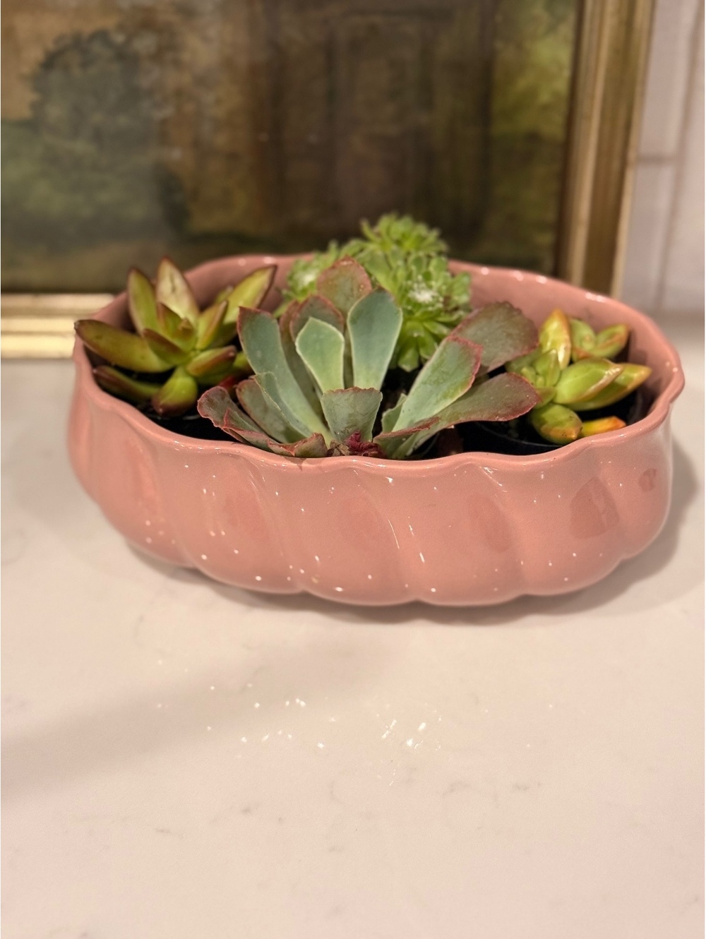 Pink Ceramic Oval Succulent Planter Pot with Scalloped Edge and Drainage Holes